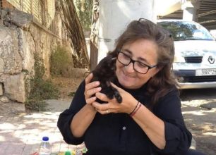 Πειραιάς Αττικής: Έκκληση για τη φιλοξενία 24 γατιών που βρέθηκαν στο σπίτι γυναίκας η οποία απεβίωσε