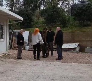 TriantisEkpaideftisSkylosPitbullZakynthos12 2025 7