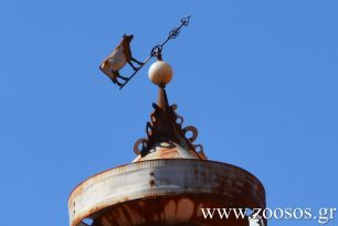 «Τα ζώα ως Υποκείμενα Δικαίου στο Ελληνικό Σύνταγμα και τον Αστικό Κώδικα» μια συζήτηση που αξίζει να παρακολουθήσετε