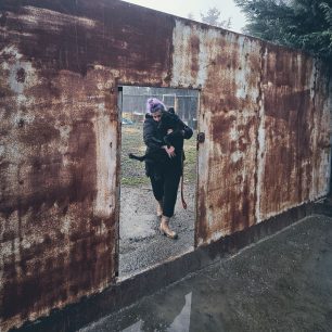 Εθελοντές φροντίζουν τα κακοποιημένα πάνω στα λύματα σκυλιά στο παράνομο Δημοτικό Κυνοκομείο Αλεξάνδρειας και ο Δήμος αδιαφορεί (βίντεο) 73 AlexandriaImathiasDimotikoKynokomeioSkylia2 2026 14