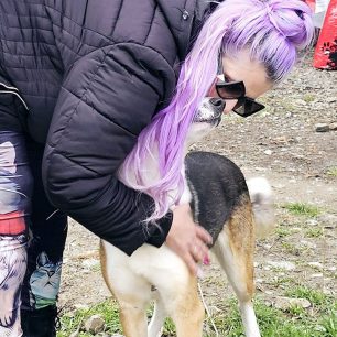 Εθελοντές φροντίζουν τα κακοποιημένα πάνω στα λύματα σκυλιά στο παράνομο Δημοτικό Κυνοκομείο Αλεξάνδρειας και ο Δήμος αδιαφορεί (βίντεο) 118 AlexandriaImathiasDimotikoKynokomeioSkylia2 2026 51