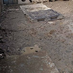 Εθελοντές φροντίζουν τα κακοποιημένα πάνω στα λύματα σκυλιά στο παράνομο Δημοτικό Κυνοκομείο Αλεξάνδρειας και ο Δήμος αδιαφορεί (βίντεο) 134 AlexandriaImathiasDimotikoKynokomeioSkylia2 2026 62