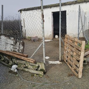 Εθελοντές φροντίζουν τα κακοποιημένα πάνω στα λύματα σκυλιά στο παράνομο Δημοτικό Κυνοκομείο Αλεξάνδρειας και ο Δήμος αδιαφορεί (βίντεο) 124 AlexandriaImathiasDimotikoKynokomeioSkylia2 2026 73