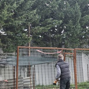 Εθελοντές φροντίζουν τα κακοποιημένα πάνω στα λύματα σκυλιά στο παράνομο Δημοτικό Κυνοκομείο Αλεξάνδρειας και ο Δήμος αδιαφορεί (βίντεο) 24 AlexandriaImathiasDimotikoKynokomeioSkylia22 2 2026 16