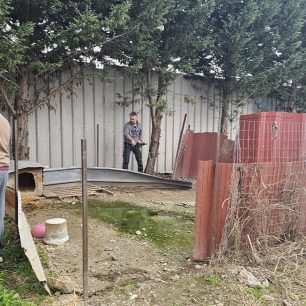 Εθελοντές φροντίζουν τα κακοποιημένα πάνω στα λύματα σκυλιά στο παράνομο Δημοτικό Κυνοκομείο Αλεξάνδρειας και ο Δήμος αδιαφορεί (βίντεο) 18 AlexandriaImathiasDimotikoKynokomeioSkylia22 2 2026 22