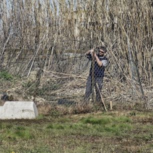 Εθελοντές φροντίζουν τα κακοποιημένα πάνω στα λύματα σκυλιά στο παράνομο Δημοτικό Κυνοκομείο Αλεξάνδρειας και ο Δήμος αδιαφορεί (βίντεο) 10 AlexandriaImathiasDimotikoKynokomeioSkylia22 2 2026 29