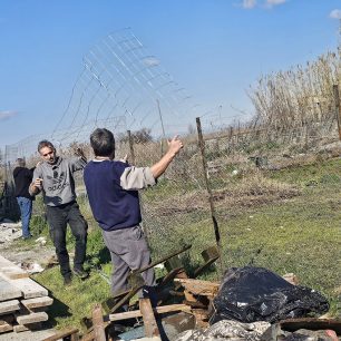 Εθελοντές φροντίζουν τα κακοποιημένα πάνω στα λύματα σκυλιά στο παράνομο Δημοτικό Κυνοκομείο Αλεξάνδρειας και ο Δήμος αδιαφορεί (βίντεο) 6 AlexandriaImathiasDimotikoKynokomeioSkylia22 2 2026 32