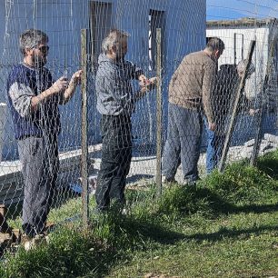 Εθελοντές φροντίζουν τα κακοποιημένα πάνω στα λύματα σκυλιά στο παράνομο Δημοτικό Κυνοκομείο Αλεξάνδρειας και ο Δήμος αδιαφορεί (βίντεο) 5 AlexandriaImathiasDimotikoKynokomeioSkylia22 2 2026 33