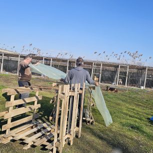 Εθελοντές φροντίζουν τα κακοποιημένα πάνω στα λύματα σκυλιά στο παράνομο Δημοτικό Κυνοκομείο Αλεξάνδρειας και ο Δήμος αδιαφορεί (βίντεο) 16 AlexandriaImathiasDimotikoKynokomeioSkylia22 2 2026 34