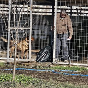 Εθελοντές φροντίζουν τα κακοποιημένα πάνω στα λύματα σκυλιά στο παράνομο Δημοτικό Κυνοκομείο Αλεξάνδρειας και ο Δήμος αδιαφορεί (βίντεο) 3 AlexandriaImathiasDimotikoKynokomeioSkylia22 2 2026 35