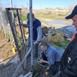 Εθελοντές φροντίζουν τα κακοποιημένα πάνω στα λύματα σκυλιά στο παράνομο Δημοτικό Κυνοκομείο Αλεξάνδρειας και ο Δήμος αδιαφορεί (βίντεο) 4 AlexandriaImathiasDimotikoKynokomeioSkylia22 2 2026 36