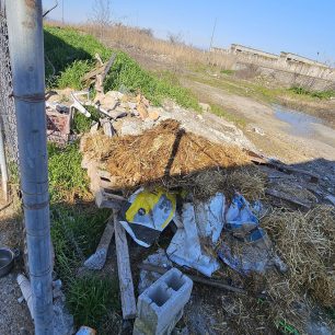 Εθελοντές φροντίζουν τα κακοποιημένα πάνω στα λύματα σκυλιά στο παράνομο Δημοτικό Κυνοκομείο Αλεξάνδρειας και ο Δήμος αδιαφορεί (βίντεο) 35 AlexandriaImathiasDimotikoKynokomeioSkylia22 2 2026 5