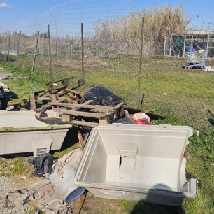 Εθελοντές φροντίζουν τα κακοποιημένα πάνω στα λύματα σκυλιά στο παράνομο Δημοτικό Κυνοκομείο Αλεξάνδρειας και ο Δήμος αδιαφορεί (βίντεο) 48 AlexandriaImathiasDimotikoKynokomeioSkylia22 2 2026 58