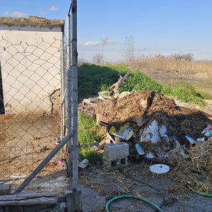 Εθελοντές φροντίζουν τα κακοποιημένα πάνω στα λύματα σκυλιά στο παράνομο Δημοτικό Κυνοκομείο Αλεξάνδρειας και ο Δήμος αδιαφορεί (βίντεο) 49 AlexandriaImathiasDimotikoKynokomeioSkylia22 2 2026 59