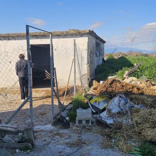 Εθελοντές φροντίζουν τα κακοποιημένα πάνω στα λύματα σκυλιά στο παράνομο Δημοτικό Κυνοκομείο Αλεξάνδρειας και ο Δήμος αδιαφορεί (βίντεο) 43 AlexandriaImathiasDimotikoKynokomeioSkylia22 2 2026 6