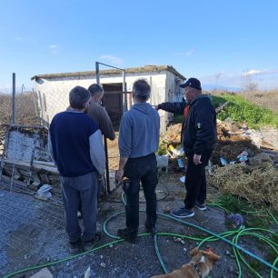 Εθελοντές φροντίζουν τα κακοποιημένα πάνω στα λύματα σκυλιά στο παράνομο Δημοτικό Κυνοκομείο Αλεξάνδρειας και ο Δήμος αδιαφορεί (βίντεο) 44 AlexandriaImathiasDimotikoKynokomeioSkylia22 2 2026 64