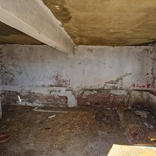 Εθελοντές φροντίζουν τα κακοποιημένα πάνω στα λύματα σκυλιά στο παράνομο Δημοτικό Κυνοκομείο Αλεξάνδρειας και ο Δήμος αδιαφορεί (βίντεο) 42 AlexandriaImathiasDimotikoKynokomeioSkylia22 2 2026 67
