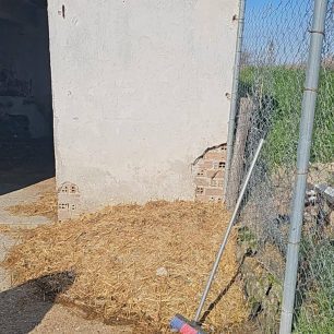 Εθελοντές φροντίζουν τα κακοποιημένα πάνω στα λύματα σκυλιά στο παράνομο Δημοτικό Κυνοκομείο Αλεξάνδρειας και ο Δήμος αδιαφορεί (βίντεο) 39 AlexandriaImathiasDimotikoKynokomeioSkylia22 2 2026 71