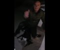 Κάρπαθος: Σκύλος νεκρός από ηλεκτροπληξία σε παραλιακό δρόμο – Τραυματίστηκε μια γυναίκα (βίντεο)