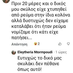 KarpathosSkylosNekrosIlektroplixiaFacebook18 2 2026 2