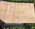 Κεφαλάρι Αργολίδας: Δηλητηρίασε με φόλες 5 σκυλιά και άφησε και απειλητικό σημείωμα