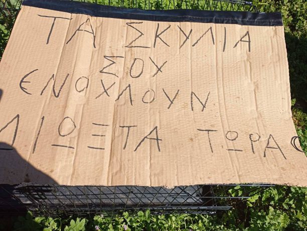 Κεφαλάρι Αργολίδας: Δηλητηρίασε με φόλες 5 σκυλιά και άφησε και απειλητικό σημείωμα