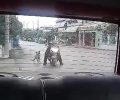 Καταδικάστηκε με αναστολή άνδρας που έσερνε σκύλο στην άσφαλτο στην Οβρυά Αχαΐας το 2020 (βίντεο)