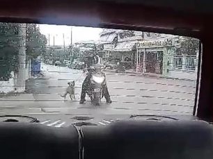 Καταδικάστηκε με αναστολή άνδρας που έσερνε σκύλο στην άσφαλτο στην Οβρυά Αχαΐας το 2020 (βίντεο)