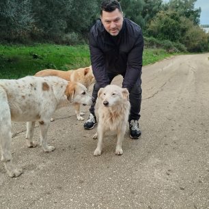 Πρέβεζα: Αναζητούν αδέσποτα που φρόντιζαν και μυστηριωδώς εξαφανίζονται 2 PrevezaAlmpina 1