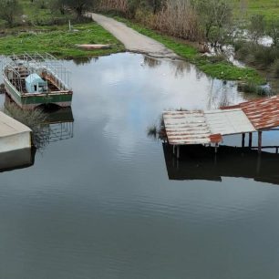 Πρέβεζα: Ζώα σε άθλιες συνθήκες εγκλωβισμένα ανάμεσα σε τσίγκους, νερά και βούρκο σε Στρογγυλή, Πέτρα και αλλού (βίντεο) 5 PrevezaStrogyliAgeladesPlymirismeniStani8 2 2026 4
