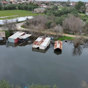 Πρέβεζα: Ζώα σε άθλιες συνθήκες εγκλωβισμένα ανάμεσα σε τσίγκους, νερά και βούρκο σε Στρογγυλή, Πέτρα και αλλού (βίντεο) 3 PrevezaStrogyliAgeladesPlymirismeniStani8 2 2026 5