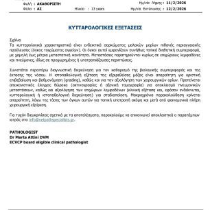 Αθήνα: Έκκληση για να καλυφθούν έξοδα περίθαλψης σκύλου που πάσχει από καρκίνο 2 Sokratis2026 1