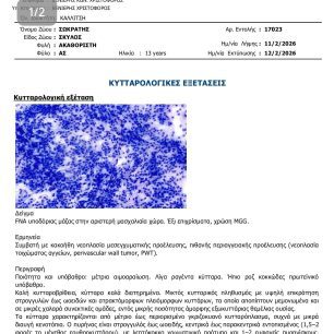 Αθήνα: Έκκληση για να καλυφθούν έξοδα περίθαλψης σκύλου που πάσχει από καρκίνο 3 Sokratis2026 3