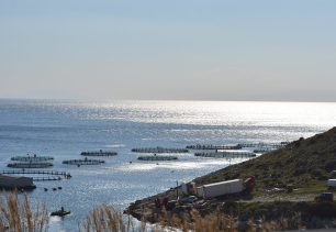 «Ακταία»: Όσα δεν μας λένε για τις ιχθυοκαλλιέργειες (βίντεο)