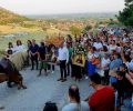 Αργυροπούλι Λάρισας: Χτυπάει άλογα για να τα αναγκάσει να προσκυνήσουν τη χριστιανική εικόνα  (βίντεο)