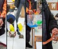 Άγρια και αιχμάλωτα ζώα χρησιμοποίησε ο Δήμος Καβάλας για να εκπαιδεύσει μικρούς μαθητές!