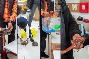 Άγρια και αιχμάλωτα ζώα χρησιμοποίησε ο Δήμος Καβάλας για να εκπαιδεύσει μικρούς μαθητές!