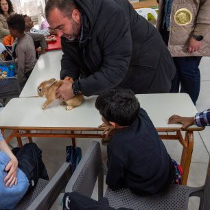 Άγρια και αιχμάλωτα ζώα χρησιμοποίησε ο Δήμος Καβάλας για να εκπαιδεύσει μικρούς μαθητές! 11 DimosKavalasZoaDomiAsylouPaidia18 3 2026 6