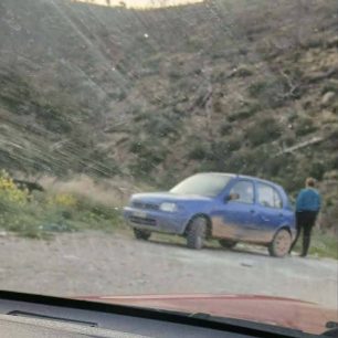 Φυλή Αττικής: Έπιασαν διακινδυνεύοντας τον σκύλο που άνδρας πέταξε στη Χασιά (βίντεο) 1 FyliAttikisXasiaPetaxeSkylo7 3 2026 1