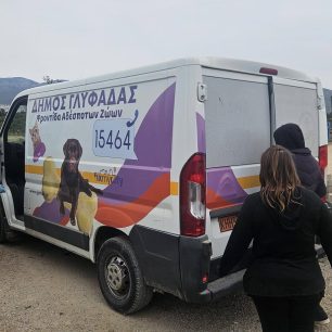 GlyfadaAttikisKatasxesiSkylou17 3 2026 3