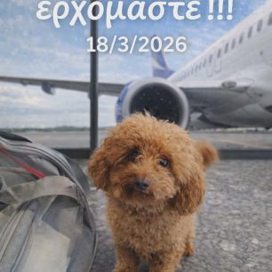 KatoikidiaPtisiEpanapatrismosDubai18 3 2026 3