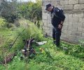 Λίμνες Λασιθίου: Με φόλες δολοφόνησε γάτες (βίντεο)