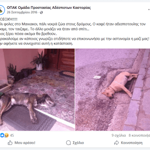 Μανιάκοι Καστοριάς: Κάμερα κατέγραψε ηλικιωμένη γυναίκα να πετάει φόλες - Πάνω από 40 γάτες νεκρές (βίντεο) 6 ManiakoiKastoriasPostFoles26 9 2016