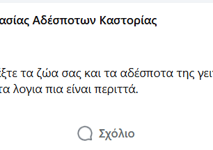 Μανιάκοι Καστοριάς: Κάμερα κατέγραψε ηλικιωμένη γυναίκα να πετάει φόλες - Πάνω από 40 γάτες νεκρές (βίντεο) 11 ManiakoiKastoriasPostFoles30 4 2017 3