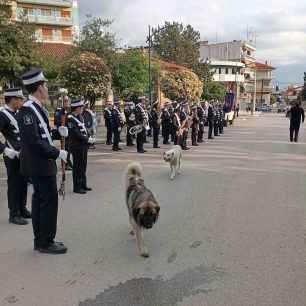 NaousaImathiasDilitiriasmenosSkylos11 3 2026 5