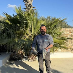 Πάρος: Αφγανός σκαρφάλωσε σε φοίνικα διακινδυνεύοντας τη ζωή του και έσωσε γάτα που ήταν εγκλωβισμένη με μεγάλο ύψος (βίντεο) 2 ParosAfganosGataFoinikas8 3 2026 4