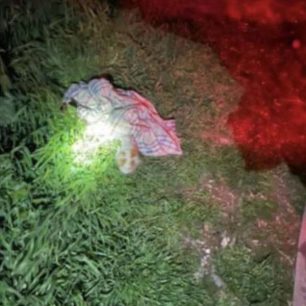 Θεσσαλονίκη: Ζητάει βοήθεια για έξοδα περίθαλψης γάτας που γλύτωσε από πυρκαγιά αλλά υπέφερε από τους καπνούς (βίντεο) 1 ThessalonikiGataFotiaApothiki21 2 2026 1
