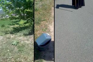 Αμυγδαλιά Κοζάνης: Καταγγέλλει παπά γιατί πετάει δοχεία τροφής και νερού για τα αδέσποτα σκυλιά (βίντεο)