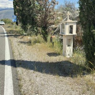 Γαλαξίδι Φωκίδας: Έκκληση για να σωθεί άρρωστος και σκελετωμένος σκύλος (βίντεο) 2 GalaxidiFokidasSkeletomenosSkylos27 4 2026 2