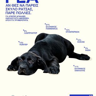 Καμπάνια ευαισθητοποίησης για την υιοθεσία των αδέσποτων από Περιφέρεια Αττικής και Υπ. Εσωτερικών (βίντεο) 2 KampaniaYiothesionPerifereiaAttikisYpEsoterikon4 4 2026 2